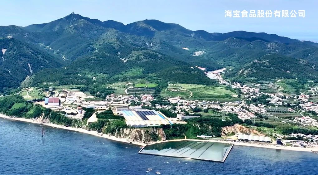 海寶.jpg 海寶.jpg