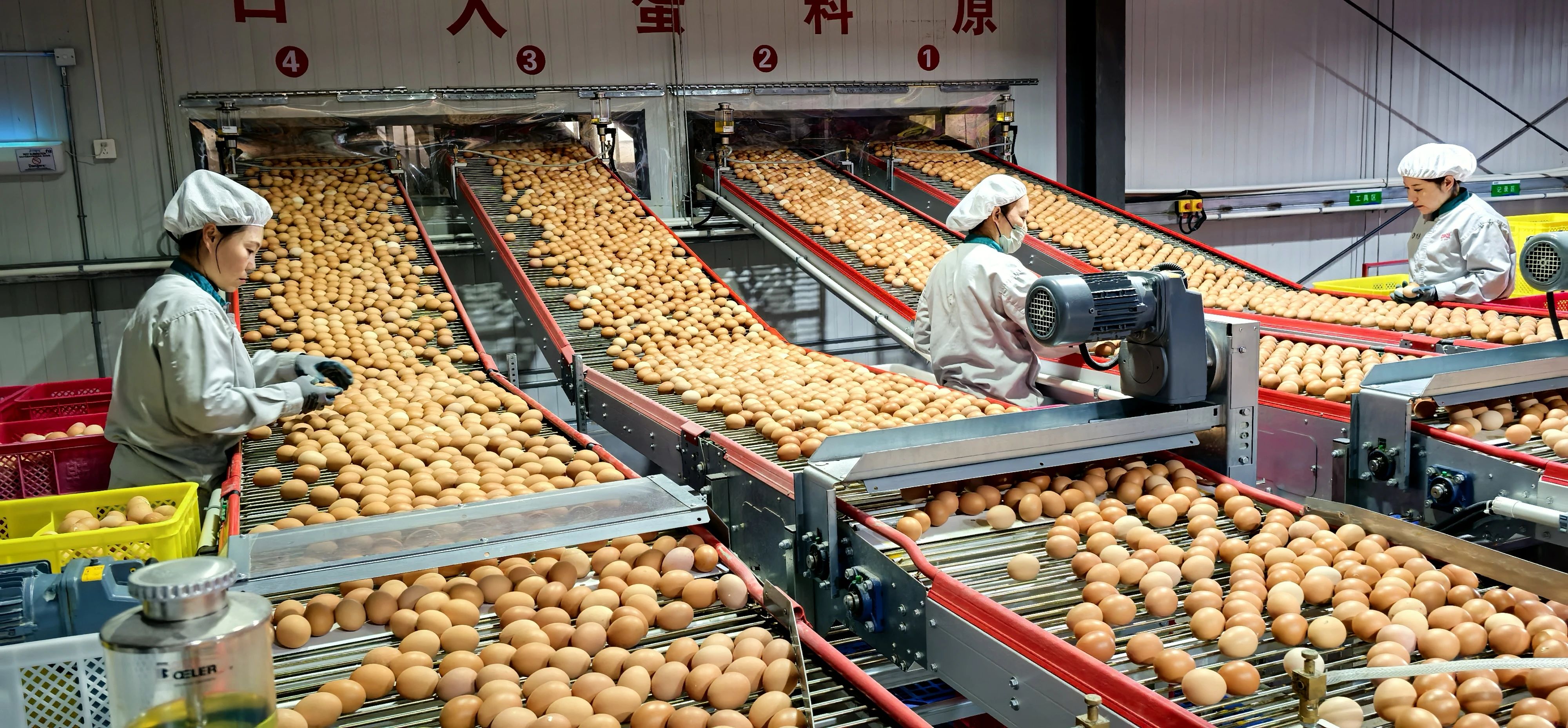 微信圖片_20250313090037.jpg 微信圖片_20250313090037.jpg